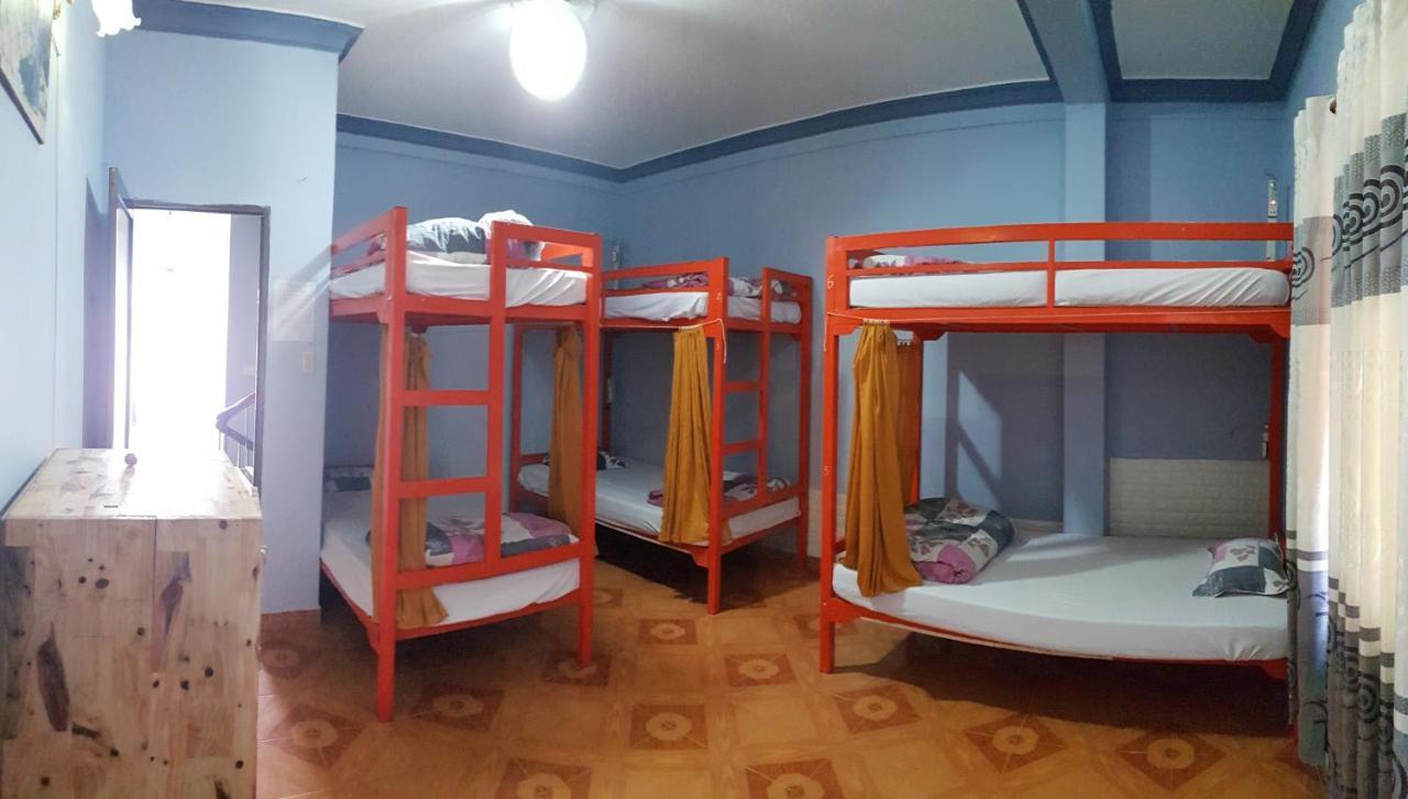 Tiny Tigers Hostel Νταλάτ Εξωτερικό φωτογραφία
