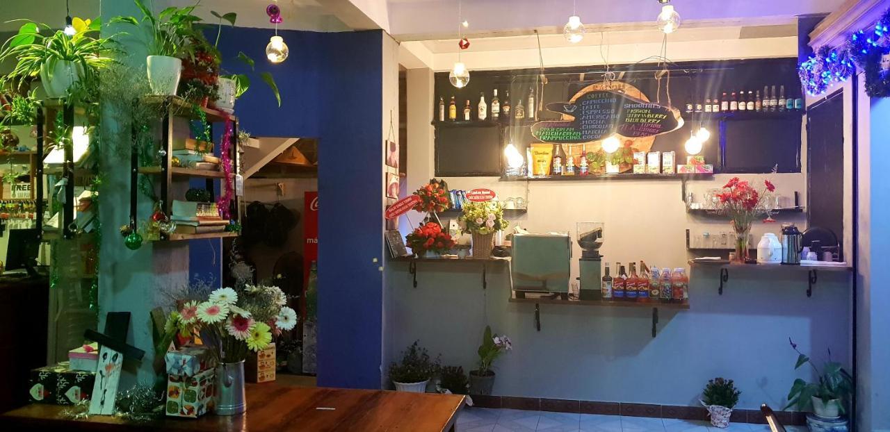 Tiny Tigers Hostel Νταλάτ Εξωτερικό φωτογραφία